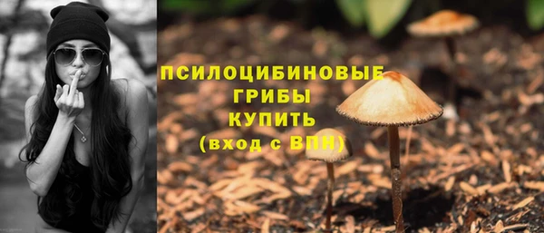 МДМА Осташков