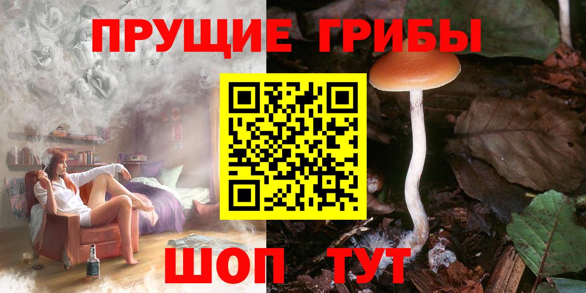 Галлюциногенные грибы Psilocybine cubensis Находка