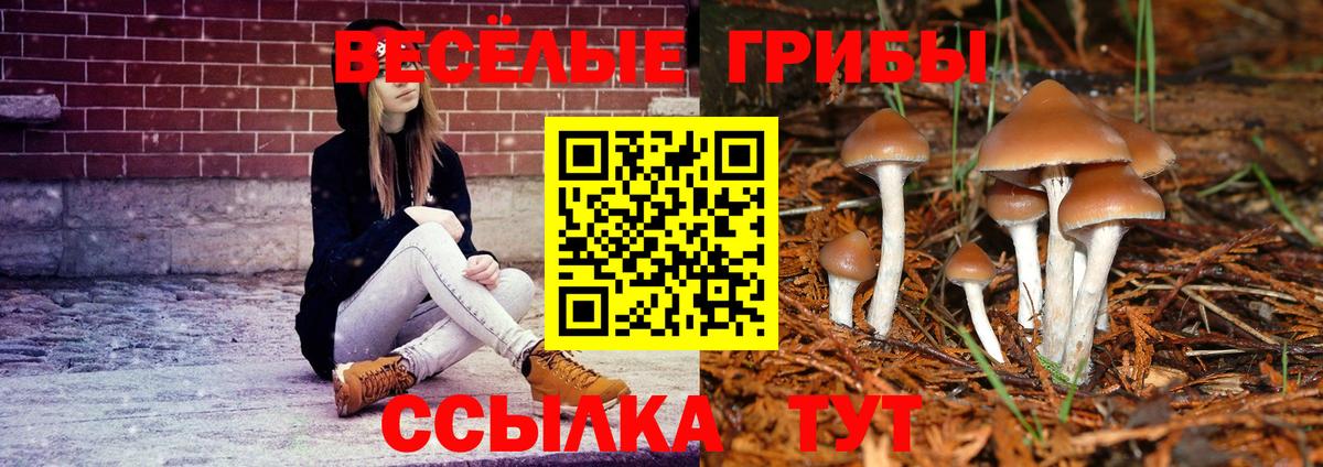 Псилоцибиновые грибы GOLDEN TEACHER  Вход с VPN  Находка  Галлюциногенные грибы мухоморы 