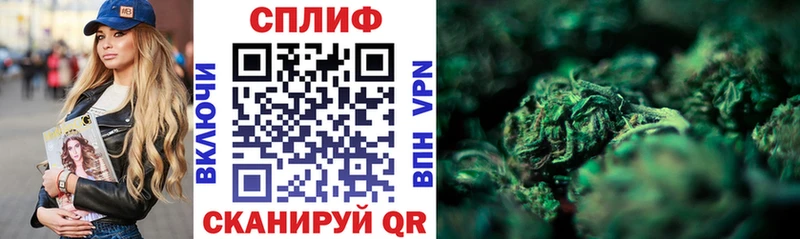 Канабис конопля  Находка 