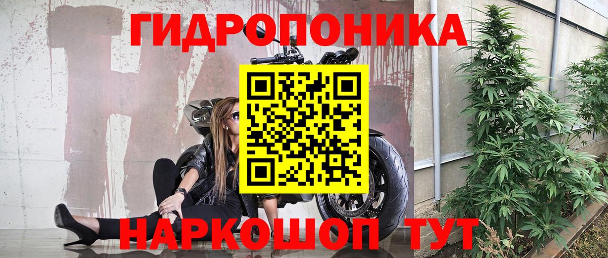 Гашиш Находка